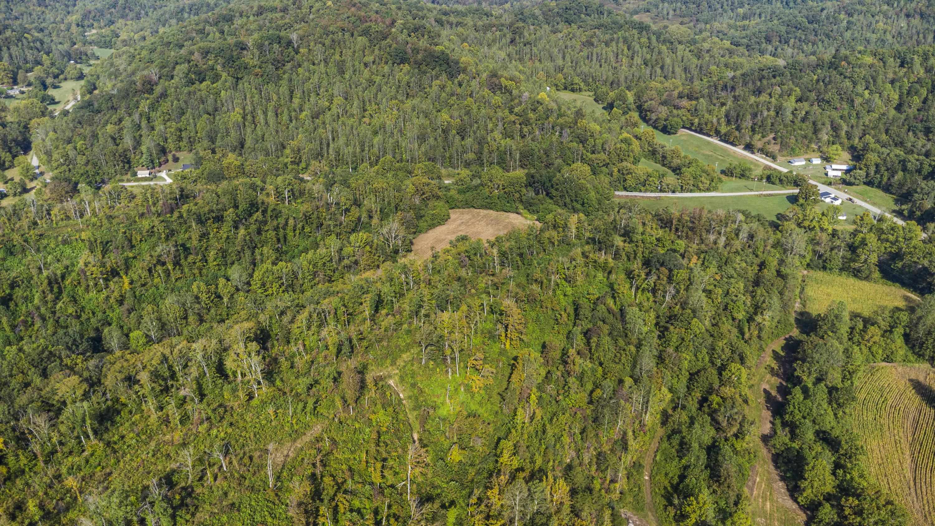 0 Tate Hollow Road Louisa, KY 41230 - Photo 35 of 50