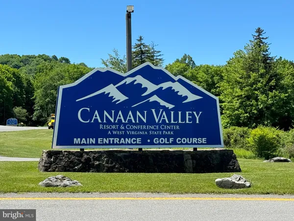 $80,000 | Lot 15 Cessna Lane, Davis, WV 26260