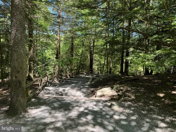 $80,000 | Lot 15 Cessna Lane, Davis, WV 26260