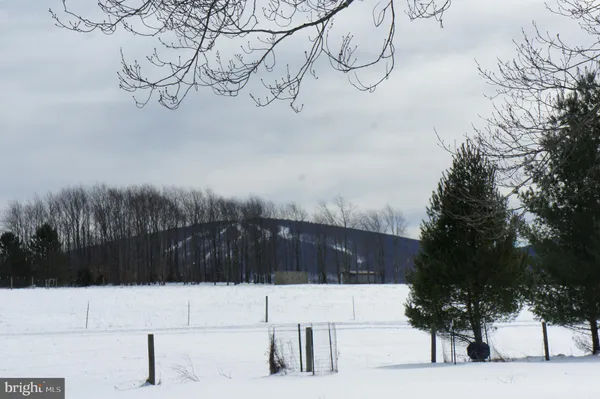 $80,000 | Lot 15 Cessna Lane, Davis, WV 26260