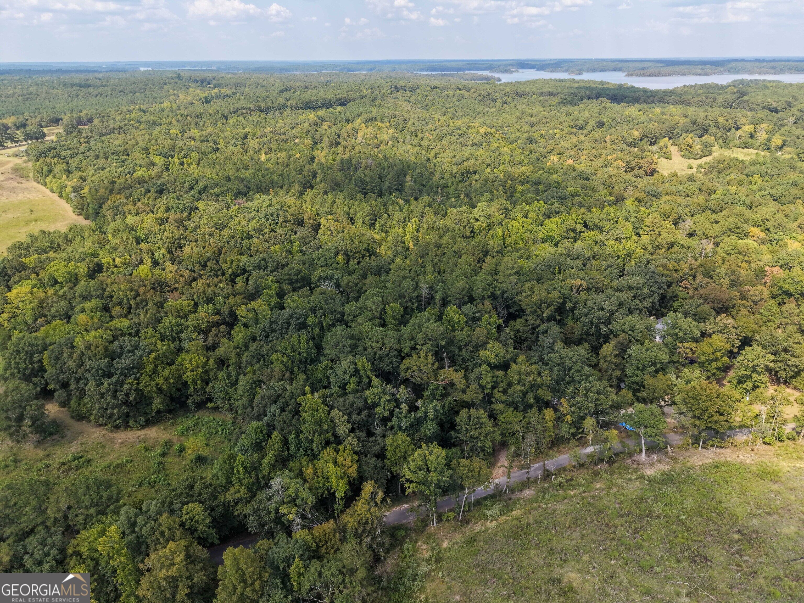 1419 Bobby Brown State Park Road Elberton, GA 30635 - Photo 9 of 90 Gallery Image 9
