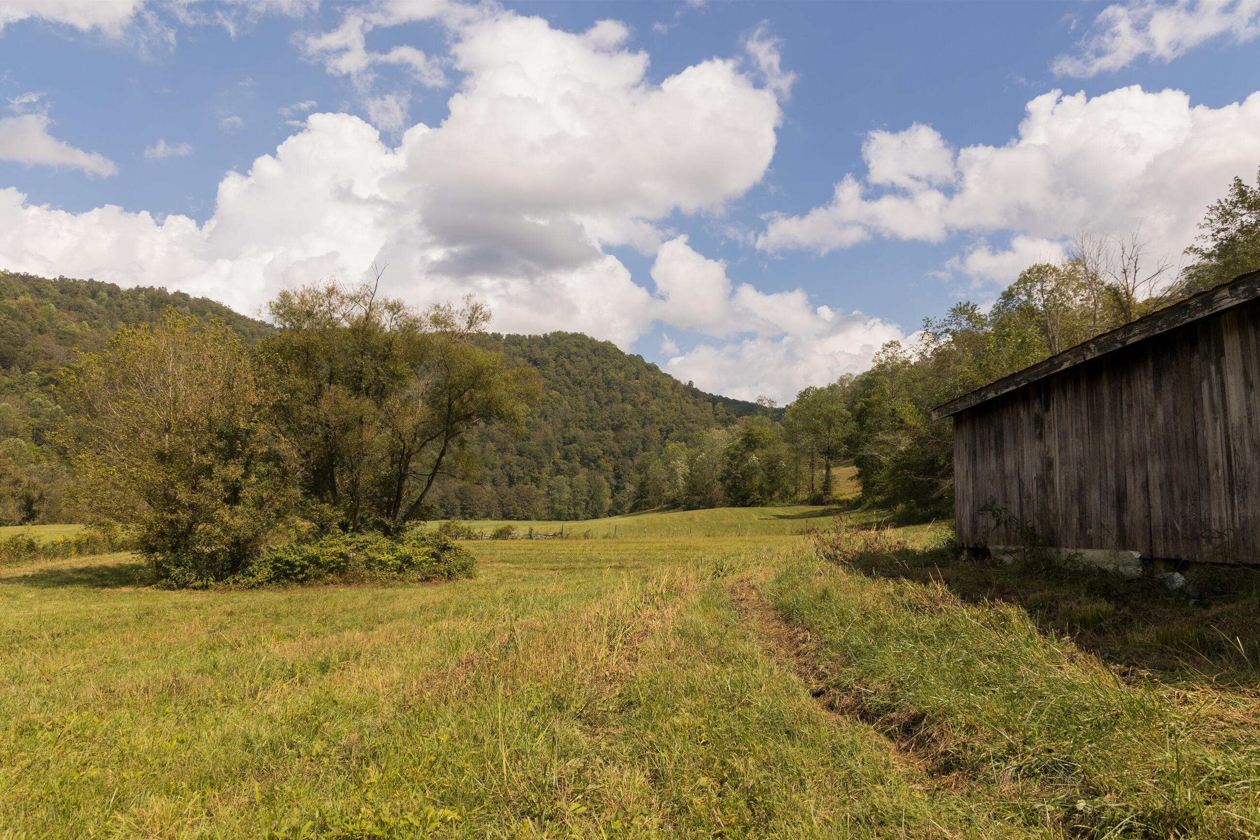 251 Everett Byrd Road Ricetown, KY 41364 - Photo 53 of 54 FO7A9299