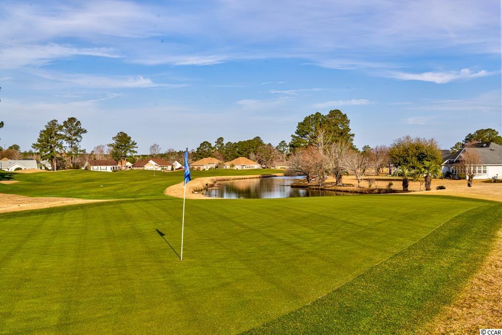 697 Tupelo Lane, Unit 24D Longs, SC 29568 - Photo 19 of 22