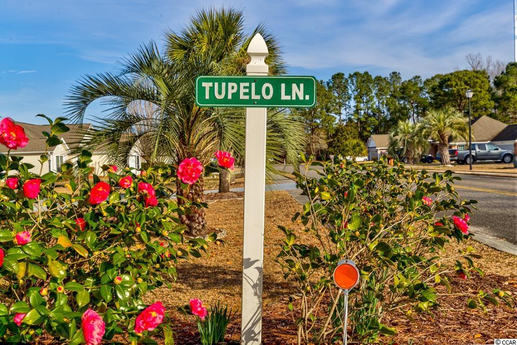 697 Tupelo Lane, Unit 24D Longs, SC 29568 - Photo 22 of 22