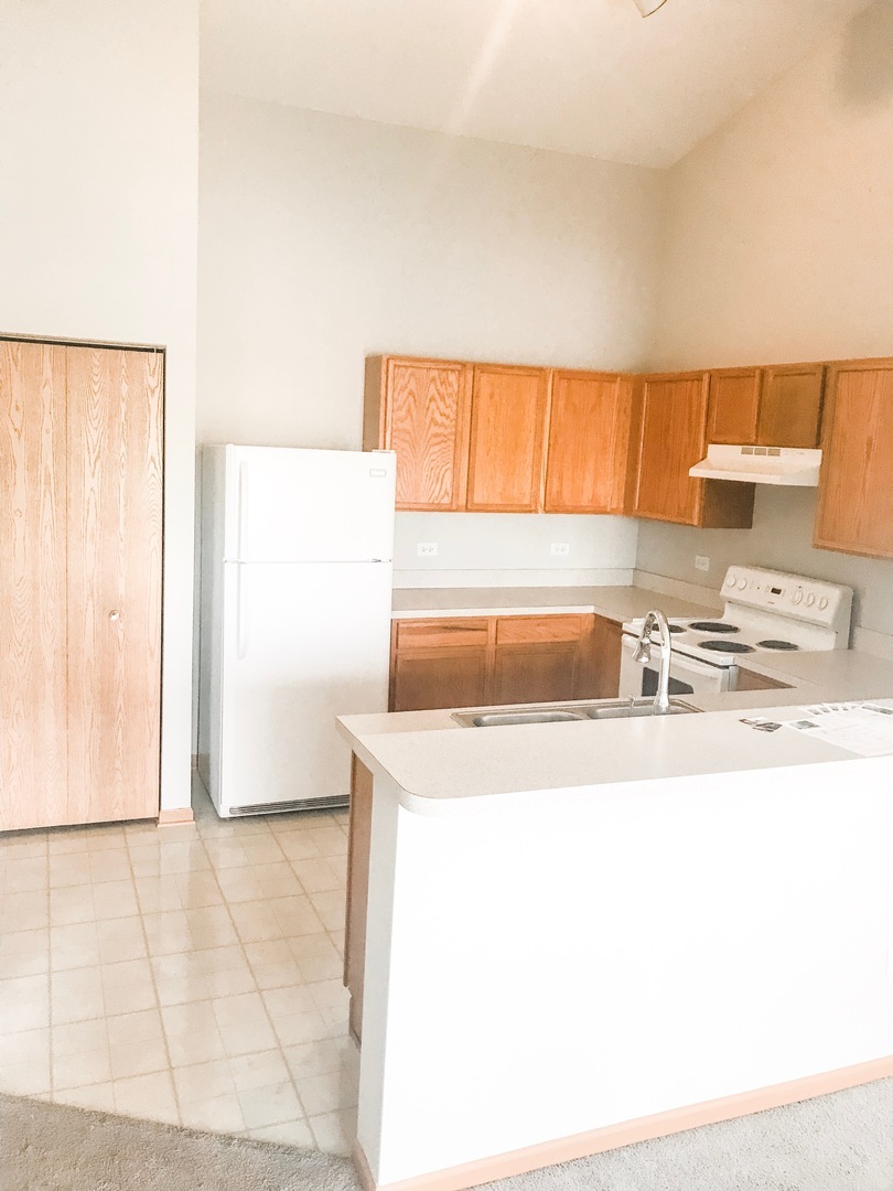 1131 Silverstone Drive, Unit 1131 Carpentersville, IL 60110 - Photo 12 of 23