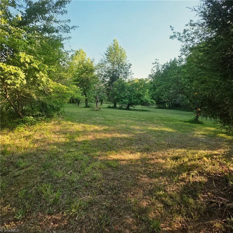 236 Jacobs Creek Road Madison, NC 27025 - Photo 44 of 50