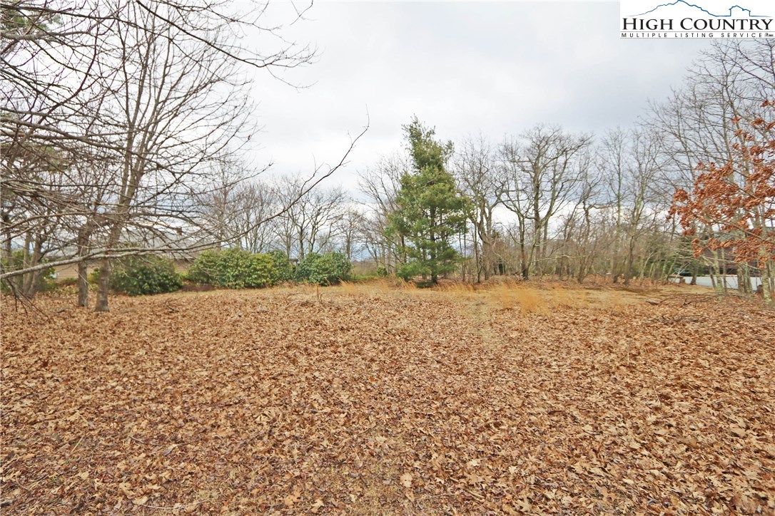 Lot 29 State View Road Boone, NC 28607 - Photo 3 of 10 Gallery Image 3