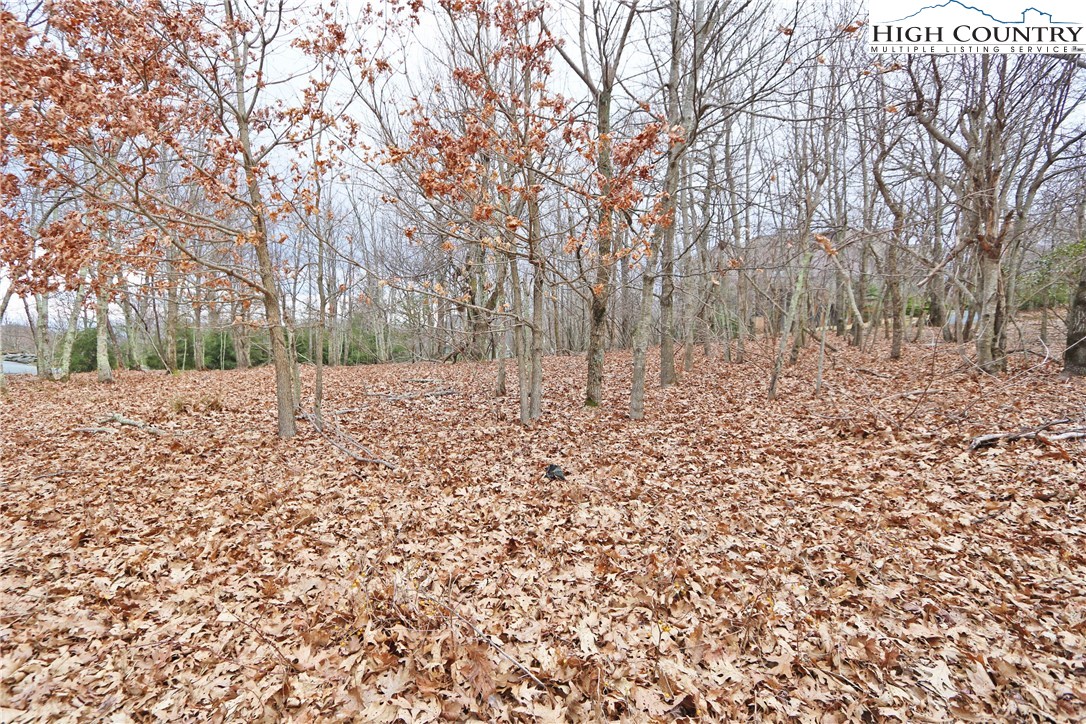 Lot 29 State View Road Boone, NC 28607 - Photo 4 of 10 Gallery Image 4