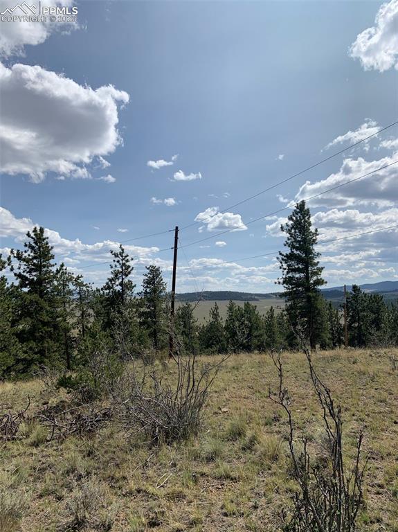 52 Bit Way Hartsel, CO 80449 - Photo 11 of 33