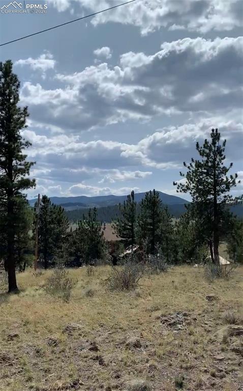 52 Bit Way Hartsel, CO 80449 - Photo 13 of 33