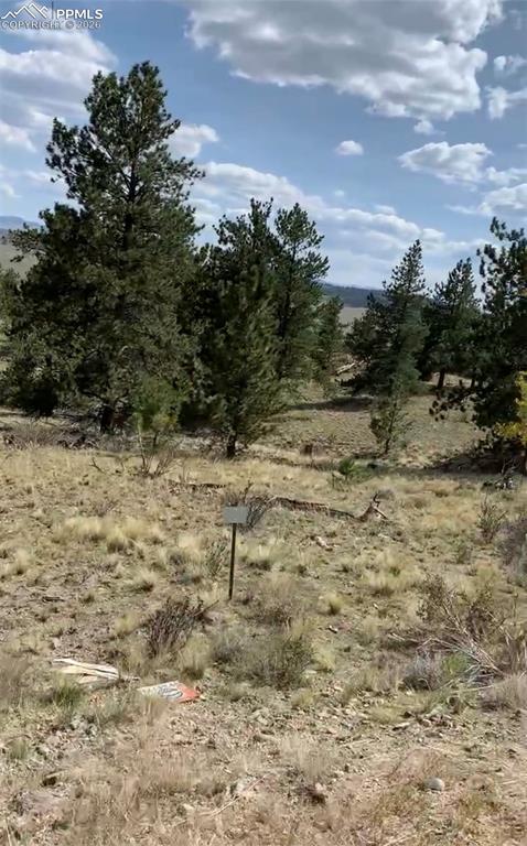 52 Bit Way Hartsel, CO 80449 - Photo 14 of 33