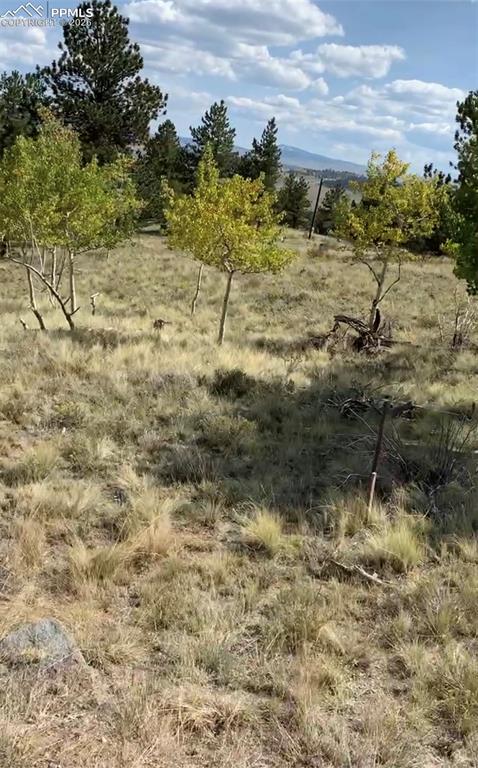 52 Bit Way Hartsel, CO 80449 - Photo 15 of 33