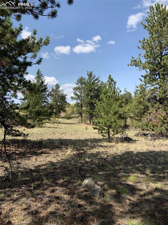 52 Bit Way Hartsel, CO 80449 - Photo 16 of 33