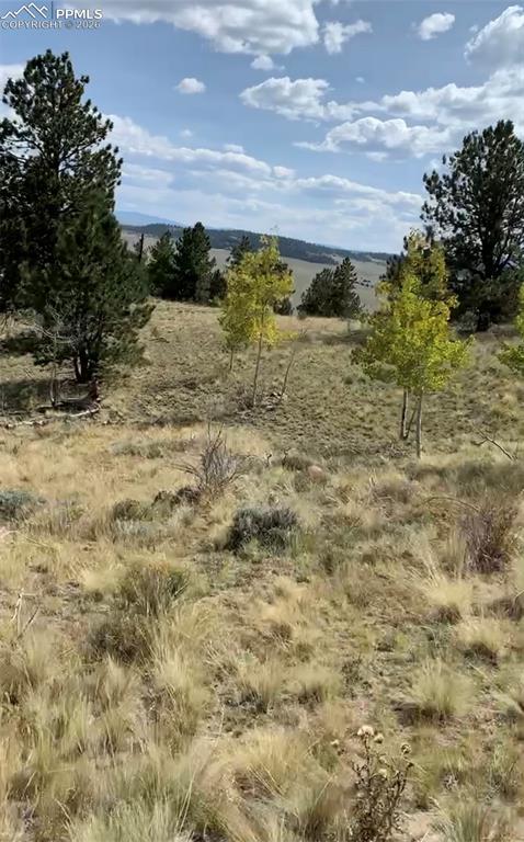 52 Bit Way Hartsel, CO 80449 - Photo 17 of 33