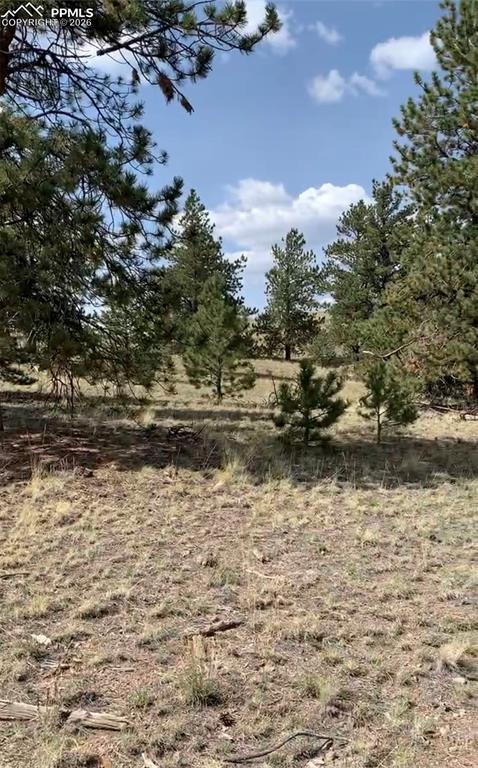 52 Bit Way Hartsel, CO 80449 - Photo 18 of 33