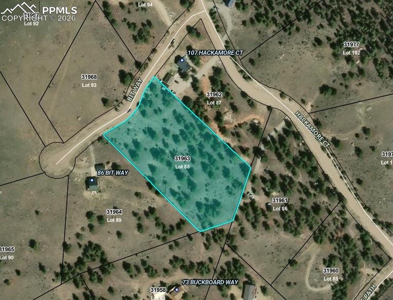 52 Bit Way Hartsel, CO 80449 - Photo 2 of 33