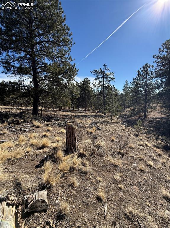 52 Bit Way Hartsel, CO 80449 - Photo 27 of 33