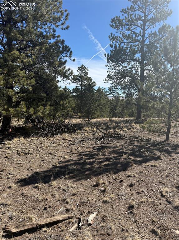 52 Bit Way Hartsel, CO 80449 - Photo 28 of 33