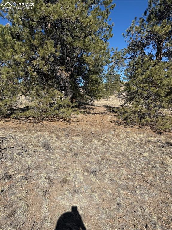 52 Bit Way Hartsel, CO 80449 - Photo 29 of 33