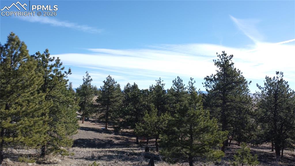 52 Bit Way Hartsel, CO 80449 - Photo 3 of 33