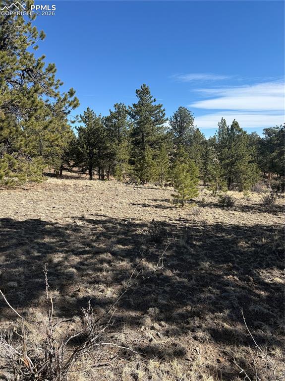 52 Bit Way Hartsel, CO 80449 - Photo 31 of 33