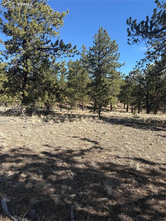 52 Bit Way Hartsel, CO 80449 - Photo 32 of 33