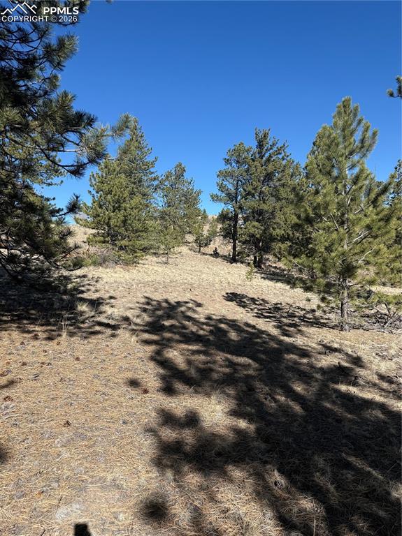 52 Bit Way Hartsel, CO 80449 - Photo 33 of 33