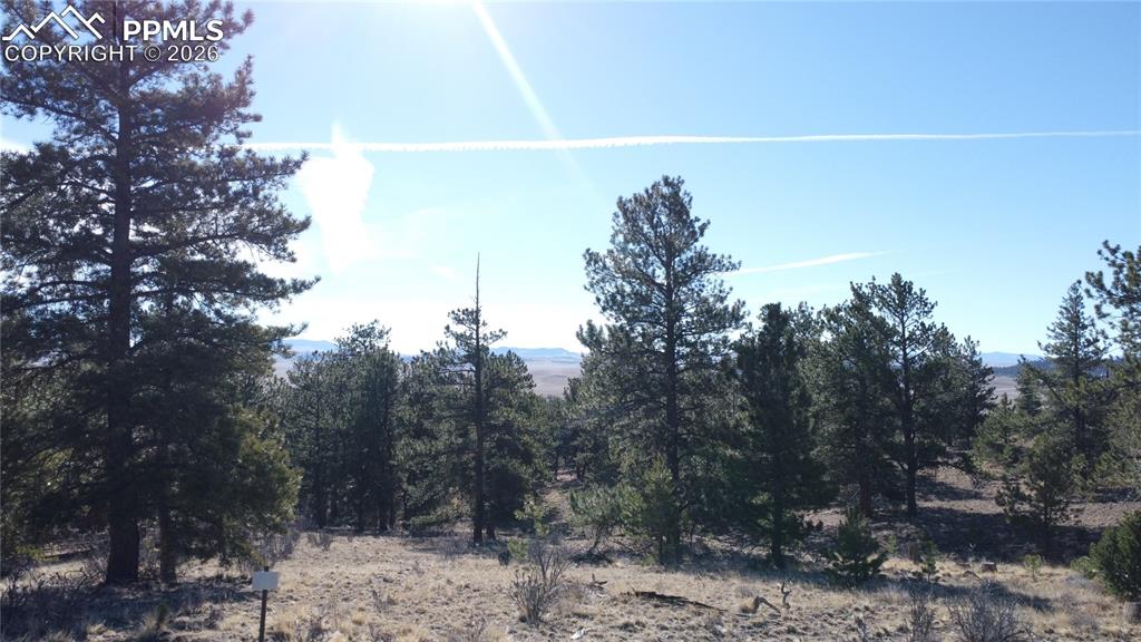 52 Bit Way Hartsel, CO 80449 - Photo 7 of 33