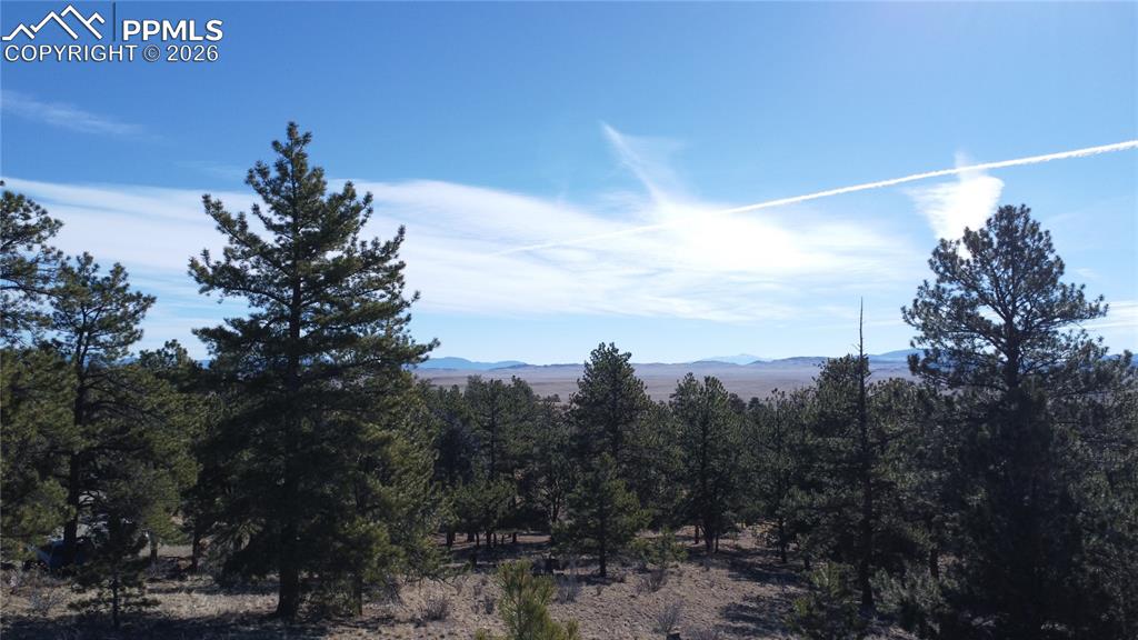 52 Bit Way Hartsel, CO 80449 - Photo 8 of 33