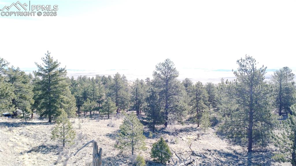 52 Bit Way Hartsel, CO 80449 - Photo 9 of 33