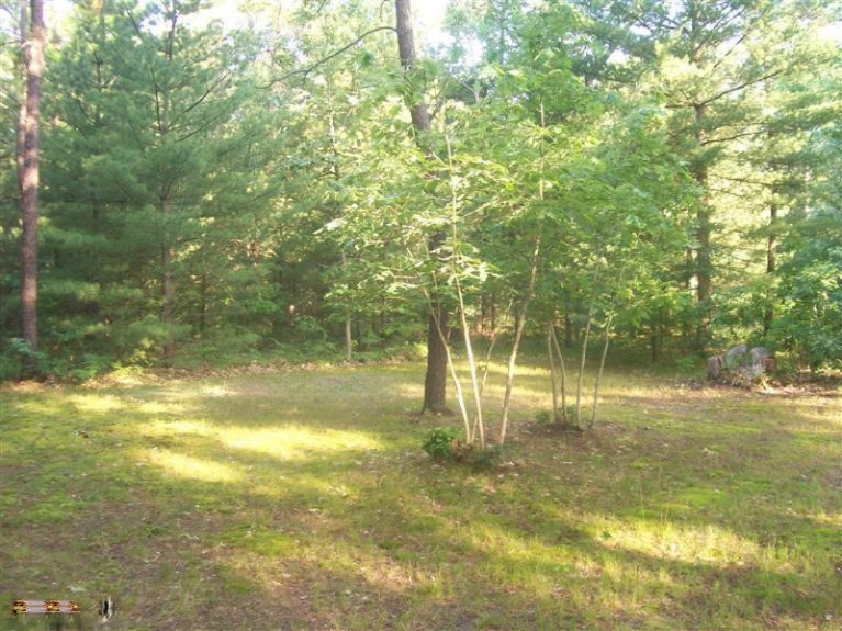 4575 Chalker Road Wellston, MI 49689 - Photo 4 of 10 Additional Photo