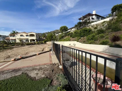 a view of a yard with palm trees