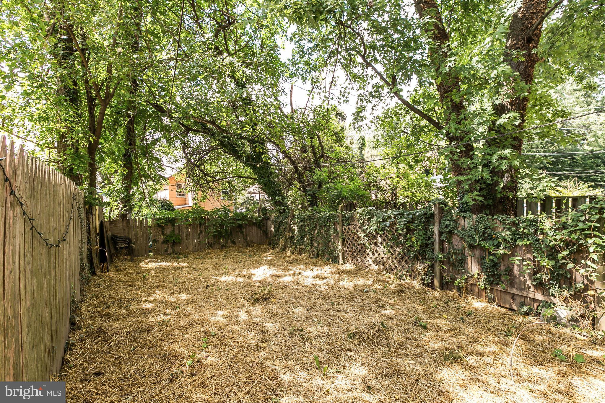 4024 Roland Avenue Baltimore, MD 21211 - Photo 23 of 28 Large Yard with Unlimited Potential
