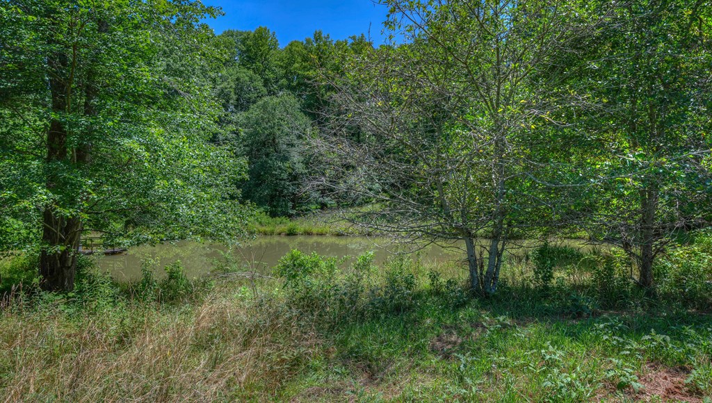 0 Crowe Road Murphy, NC 28906 - Photo 24 of 52 Gallery Image 24