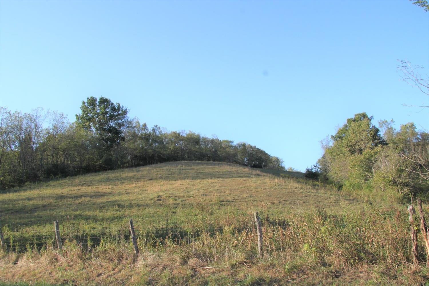 1 Cane Run Road Carlisle, KY 40311 - Photo 7 of 38 Listing Photo