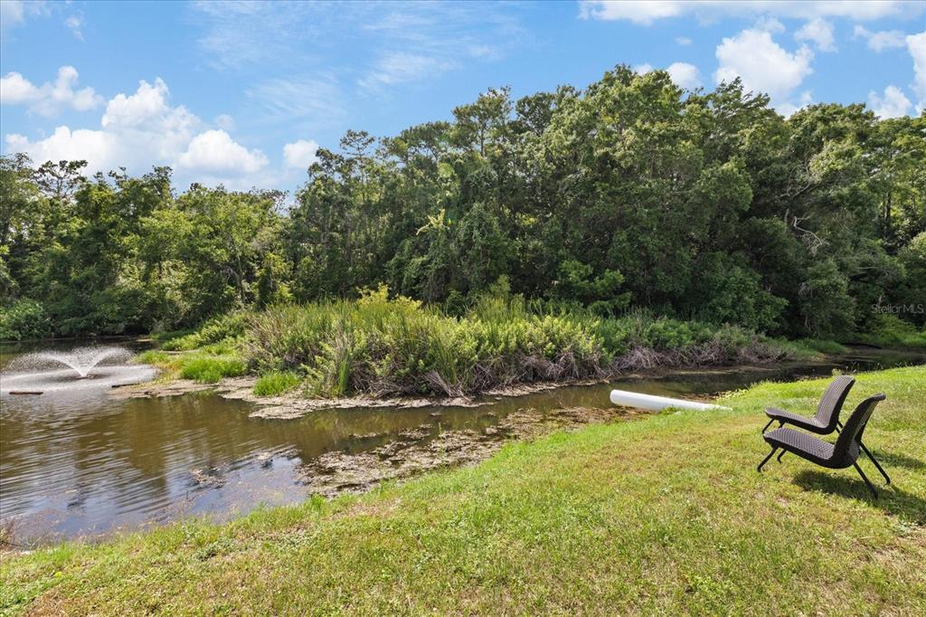 11635 Bayonet Lane, Unit B New Port Richey, FL 34654 - Photo 27 of 41