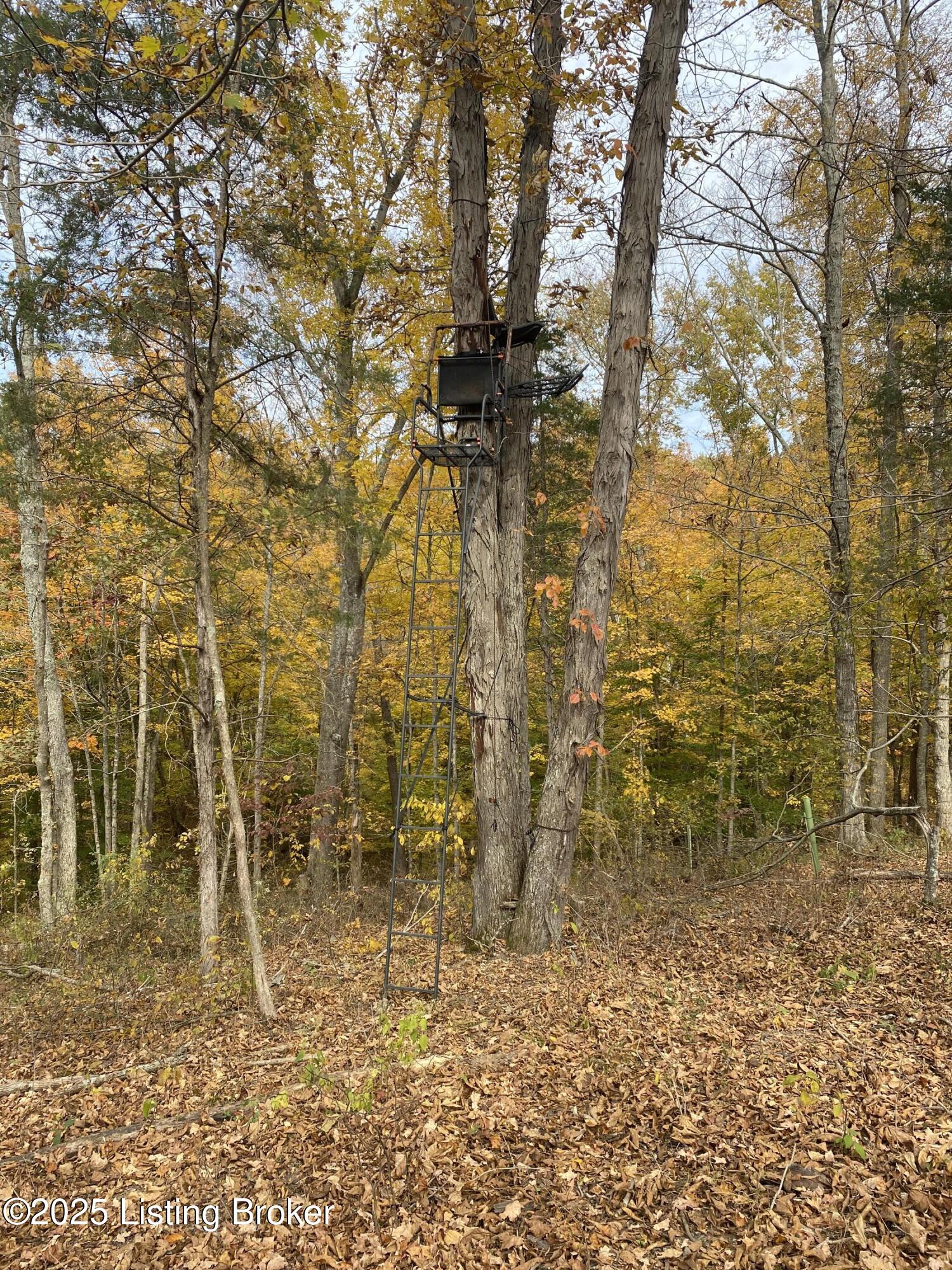 118 Flint Ridge Road Shelbyville, KY 40065 - Photo 77 of 79 Seller's personal photo of tree stand