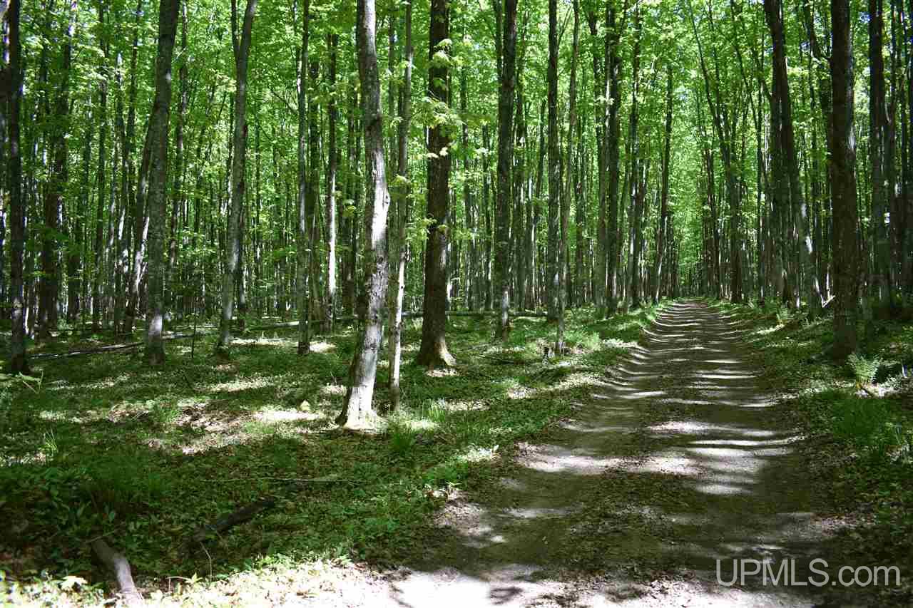 24-acres Co Rd Kb Big Bay, MI 49808 - Photo 22 of 50