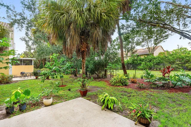 a view of a backyard with potted plants and large trees