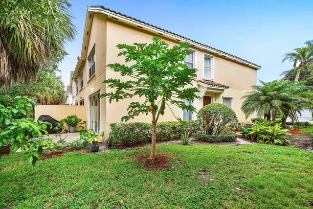 a garden with palm trees