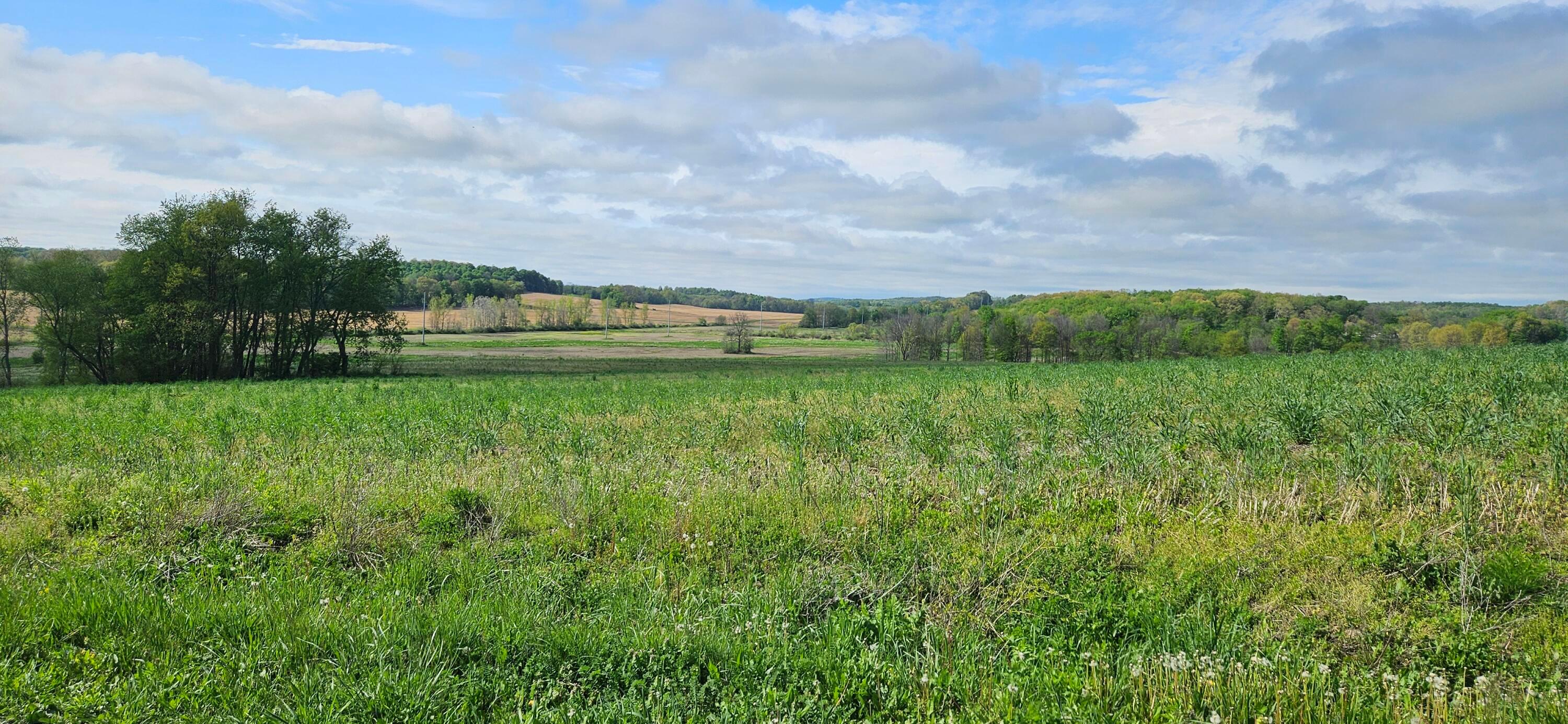 0 Divelbiss Road Fredericktown, OH 43019 - Photo 2 of 14 20250508_164015