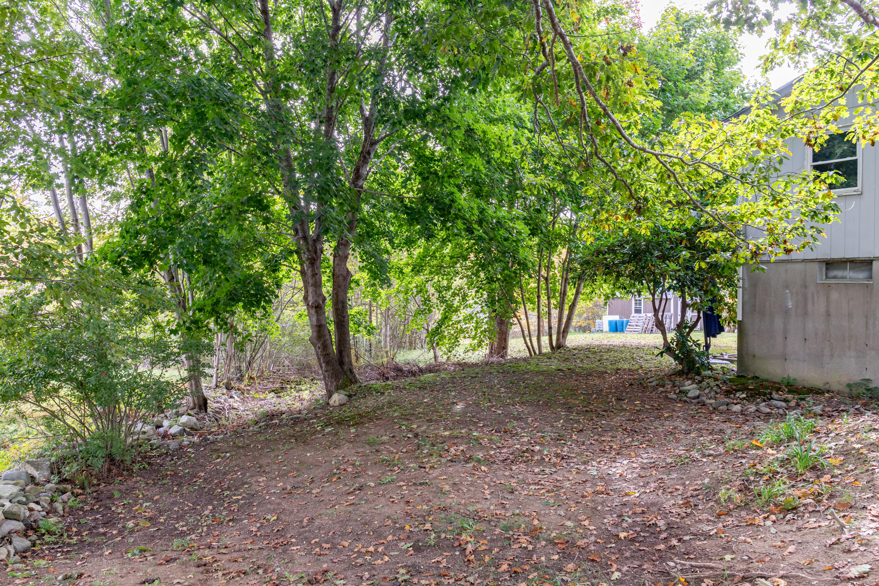 278 Sunset Road Deer Isle, ME 04627 - Photo 65 of 75 278 Sunset Road Exteriors-6