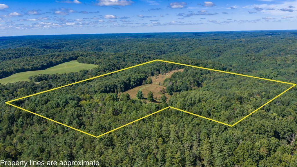 24603 Potter Ridge Road Creola, OH 45622 - Photo 98 of 99 24603 Potter Ridge Drone00014-Edit
