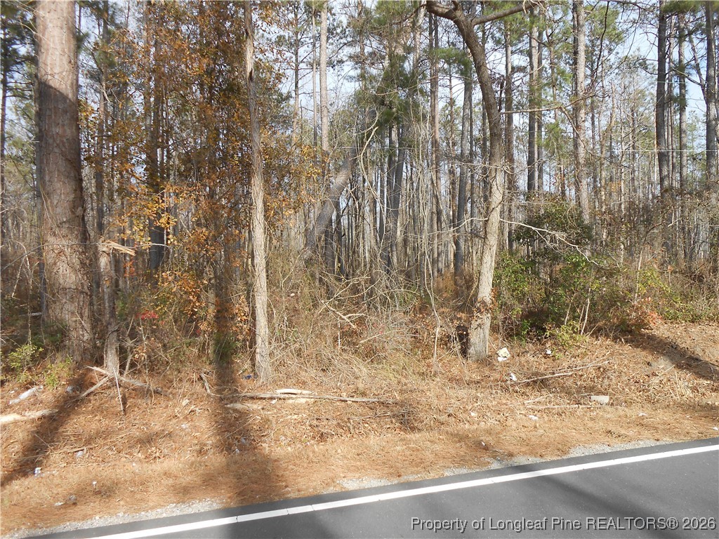 East Great Marsh Church Road St. Pauls, NC 28384 - Photo 4 of 5 a view of a pathway of a yard