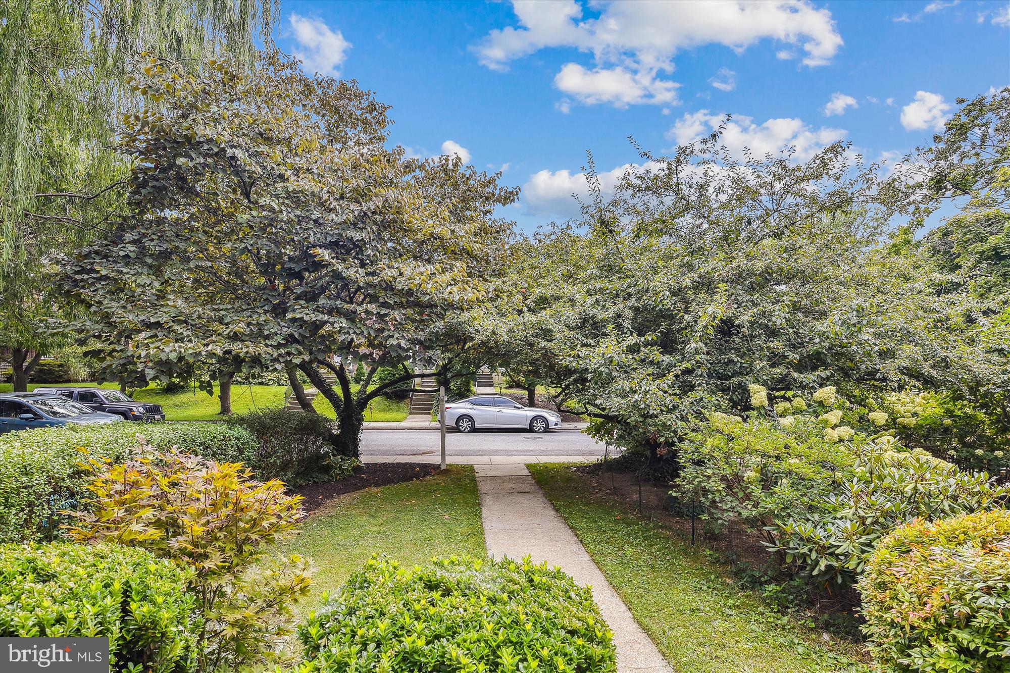 116 Murdock Road Baltimore, MD 21212 - Photo 3 of 42 a view of yard with tree