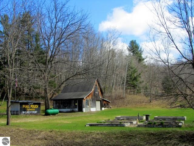 6544 East Hoxie Road Cedar, MI 49621 - Photo 32 of 34 1783727-31.JPG