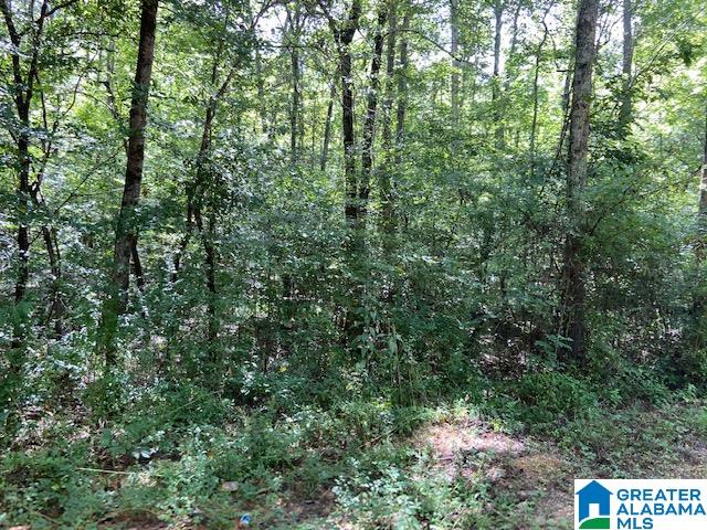 0 County Road 89, Unit 1 Clanton, AL 35046 - Photo 6 of 17