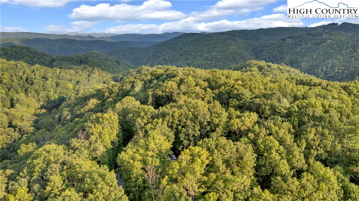 Trout Lake Road Deep Gap, NC 28618 - Photo 4 of 25
