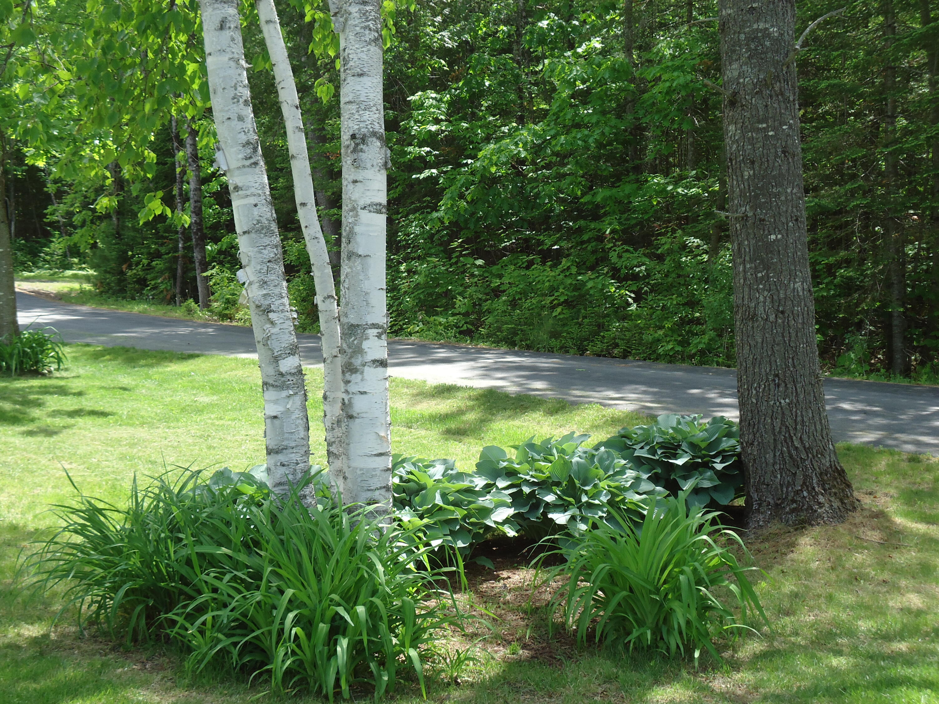 360 Moulton Road Embden, ME 04958 - Photo 11 of 33 DSC04052 - Copy - Copy
