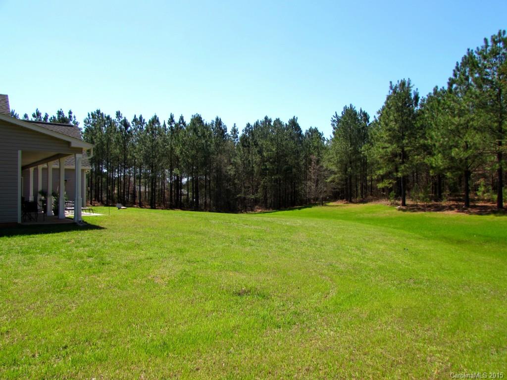 1223 State Rd S-46-1102 York, SC 29745 - Photo 22 of 24